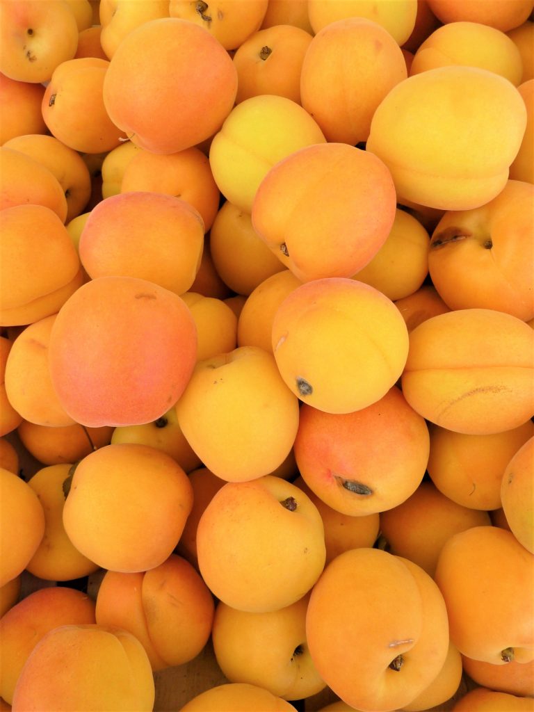 Une corbeille d'abricots frais