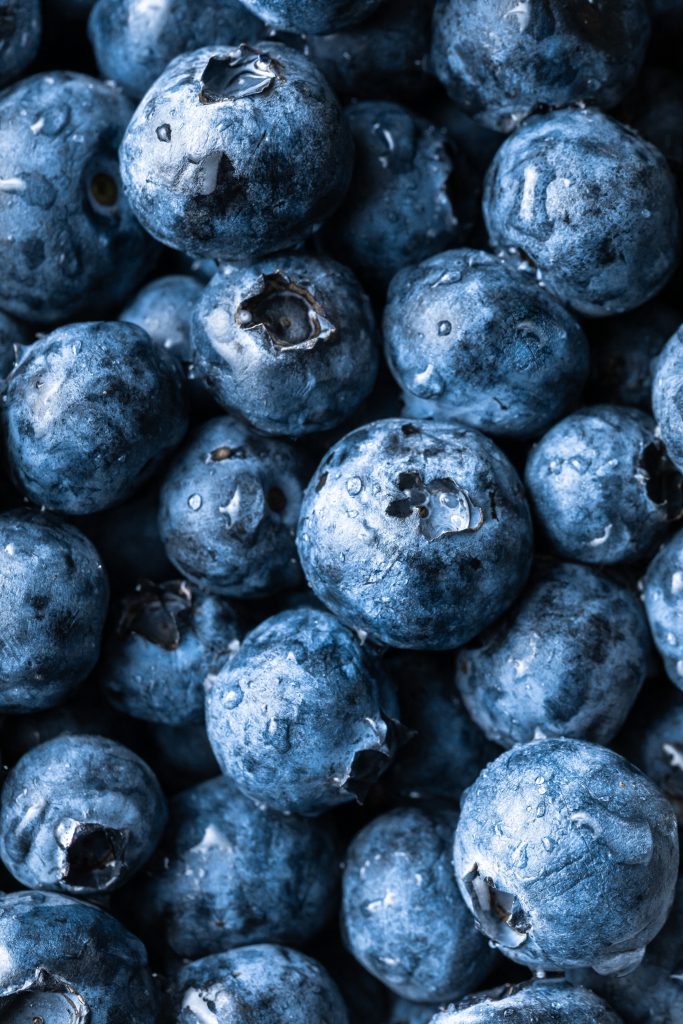 Décryptage des bienfaits des myrtilles et des bleuets pour la santé