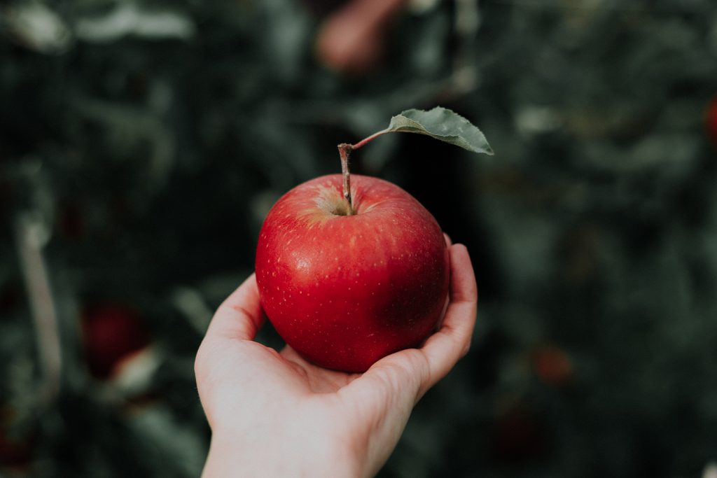 Découvrez les vertus insoupçonnées de ce fruit polyvalent