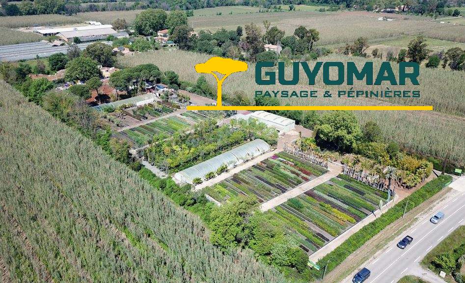 Le charme d’un jardin méditerranéen à Hyères