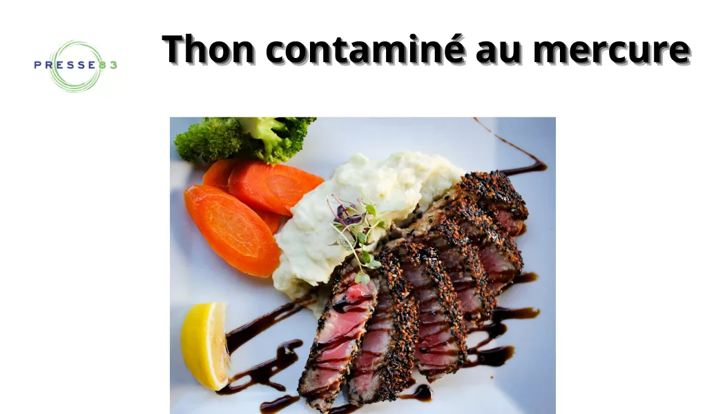 conserve de thon un poison dans nos assiettes
