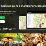 cueillette de champignons dans une forêt automnale
