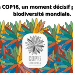 la cop16, un moment décisif pour la biodiversité mondiale.