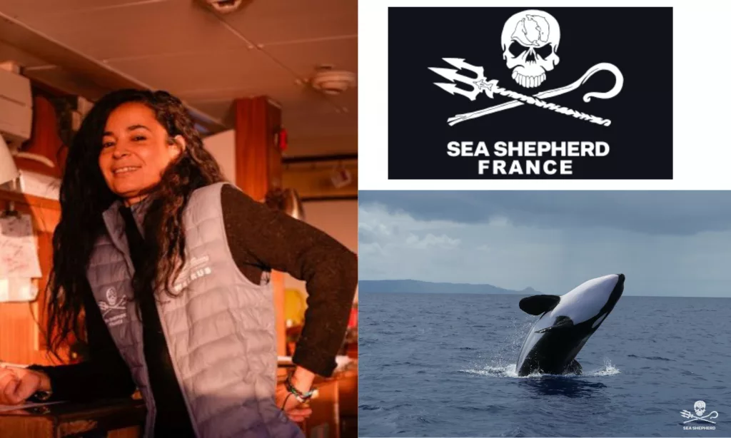 lamya essemlali en pleine action avec sea shepherd