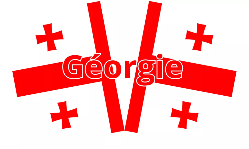 les élections en géorgie