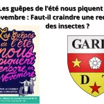 les guêpes de l’été nous piquent encore en novembre faut il craindre une recrudescence des insectes