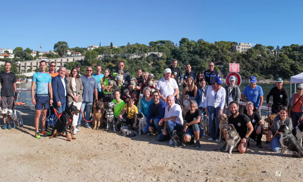 les toutous en fête retour sur la journée du chien à toulon