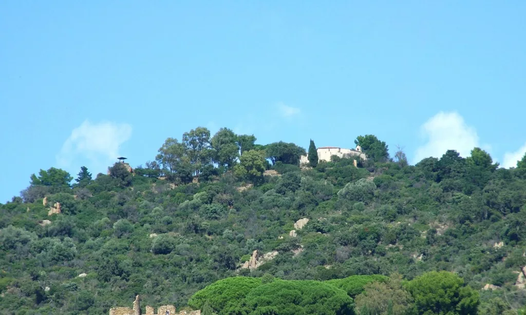 accident de chasse à bormes les mimosas