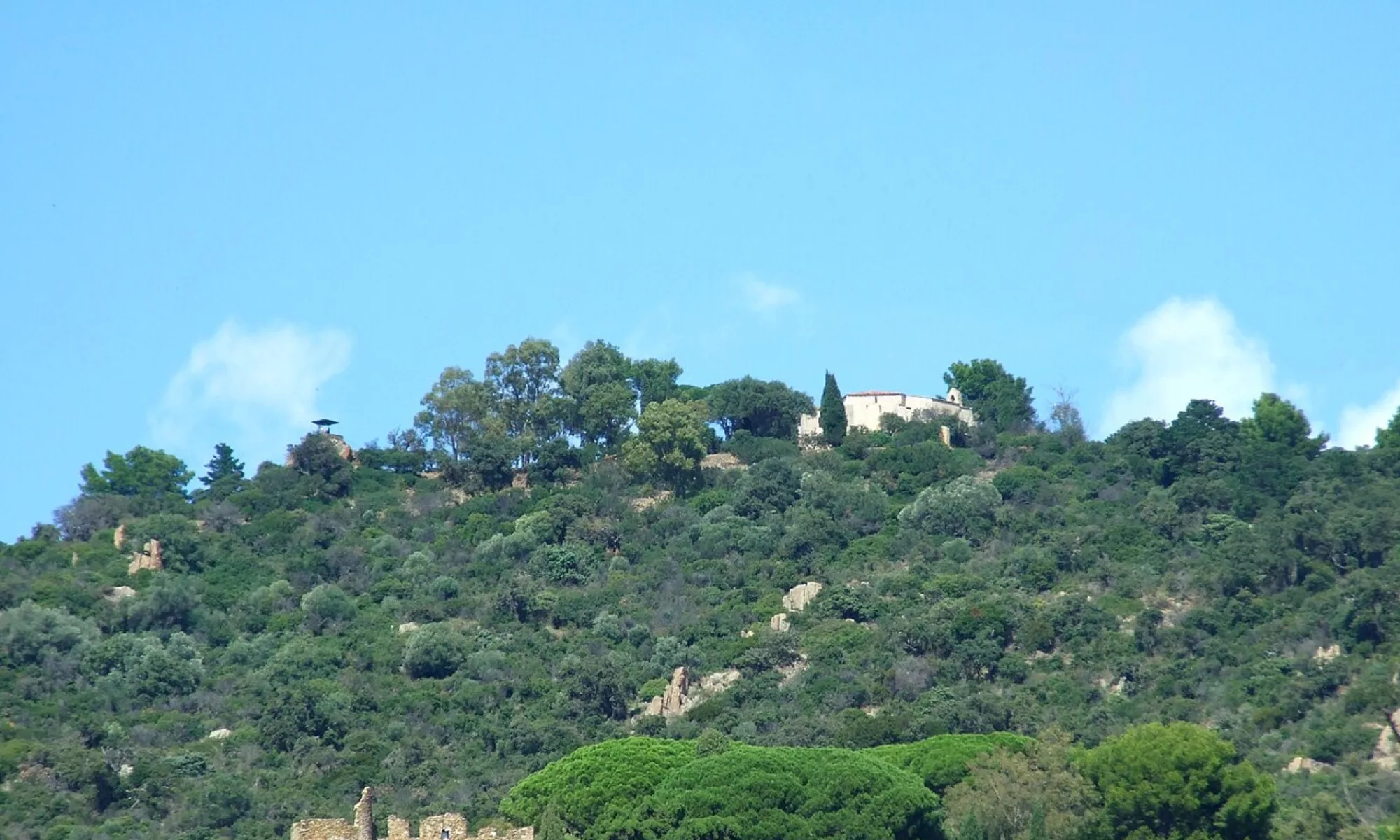 accident de chasse à bormes les mimosas