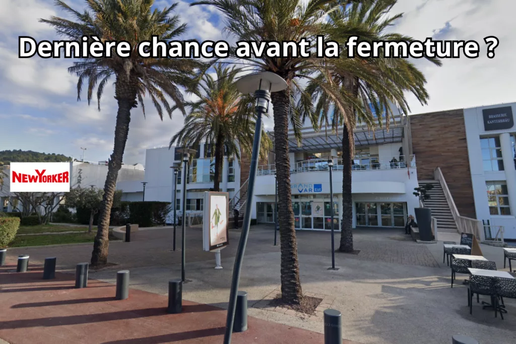 Les enjeux du commerce à Grand Var Est