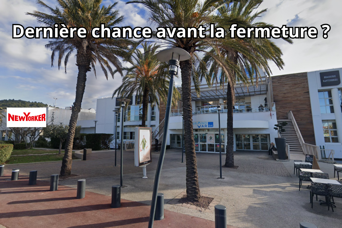 Les enjeux du commerce à Grand Var Est
