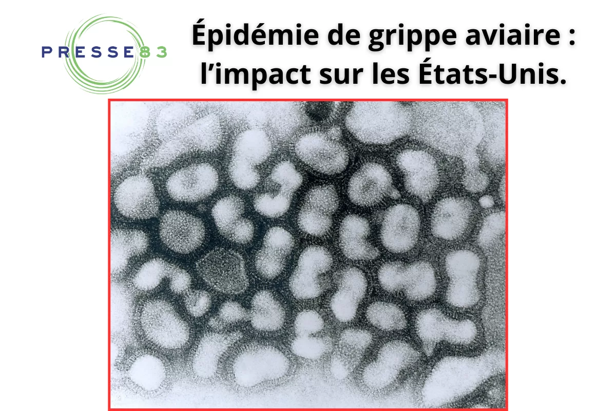 La grippe aviaire chez les mammifères : une évolution alarmante ?