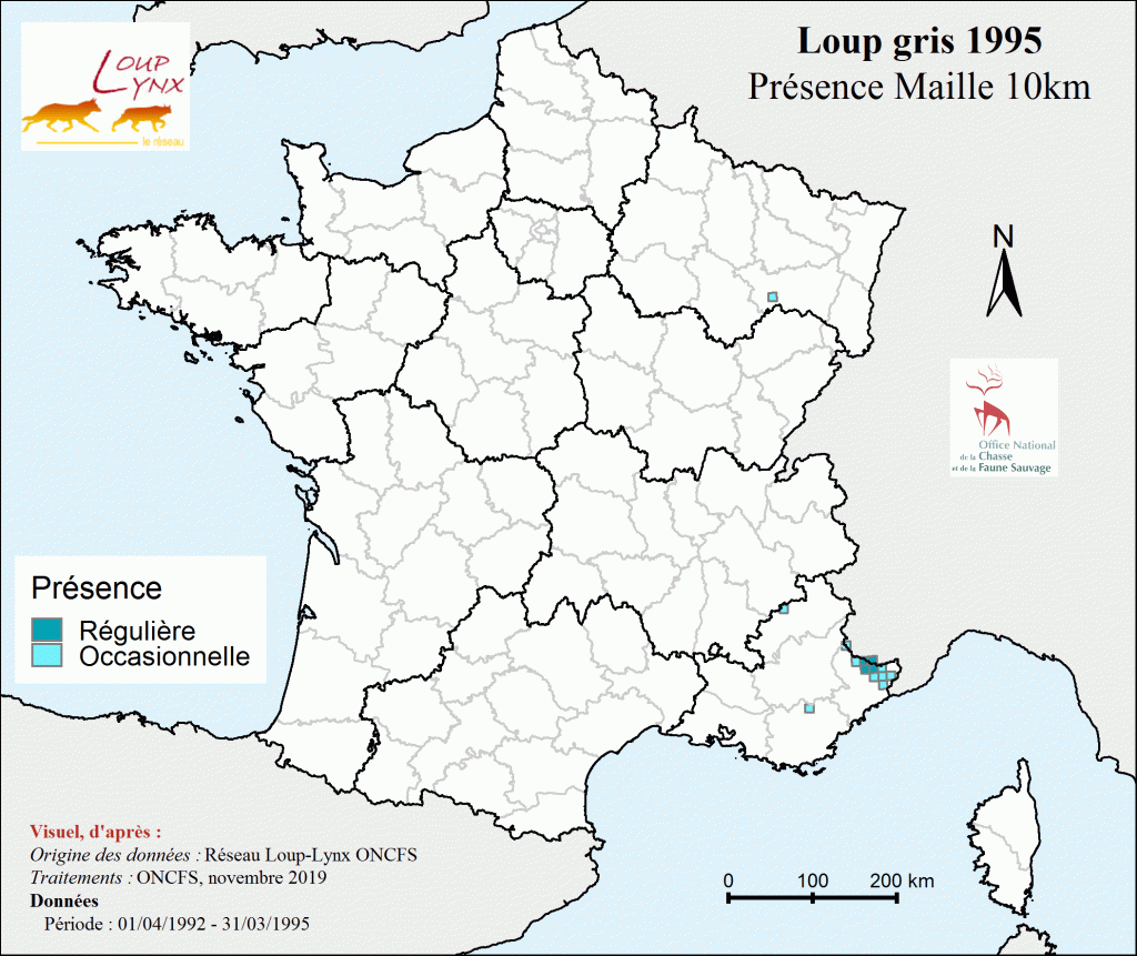 Une population de loups en hausse, source de tensions croissantes.