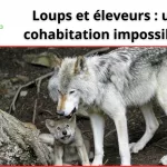 Débat sur la coexistence entre agriculture et biodiversité dans le Var.