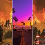 Sécheresse et incendies : un cocktail dévastateur