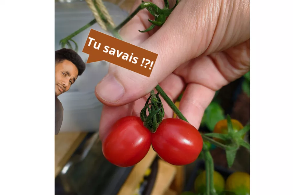 Un témoin antique prêtant serment avec un geste symbolique.