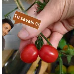 Un témoin antique prêtant serment avec un geste symbolique.