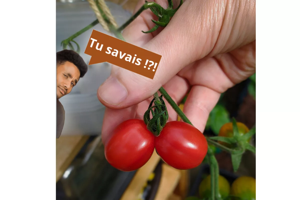 Un témoin antique prêtant serment avec un geste symbolique.