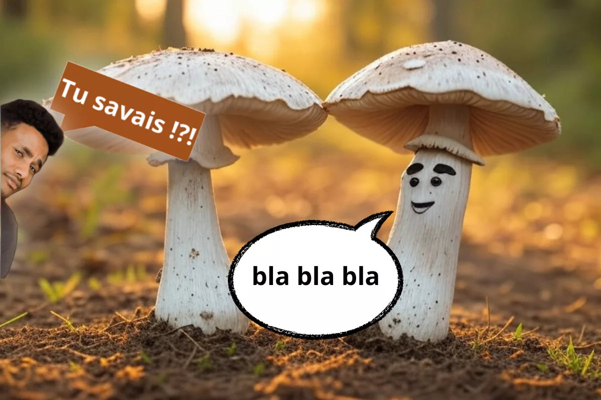 Une expérience révèle un vocabulaire surprenant chez les champignons.