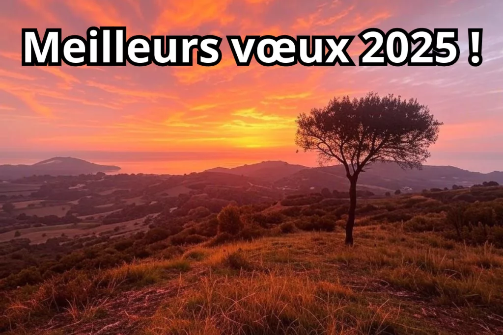 2025 : une année pour innover, réussir et construire un avenir meilleur.