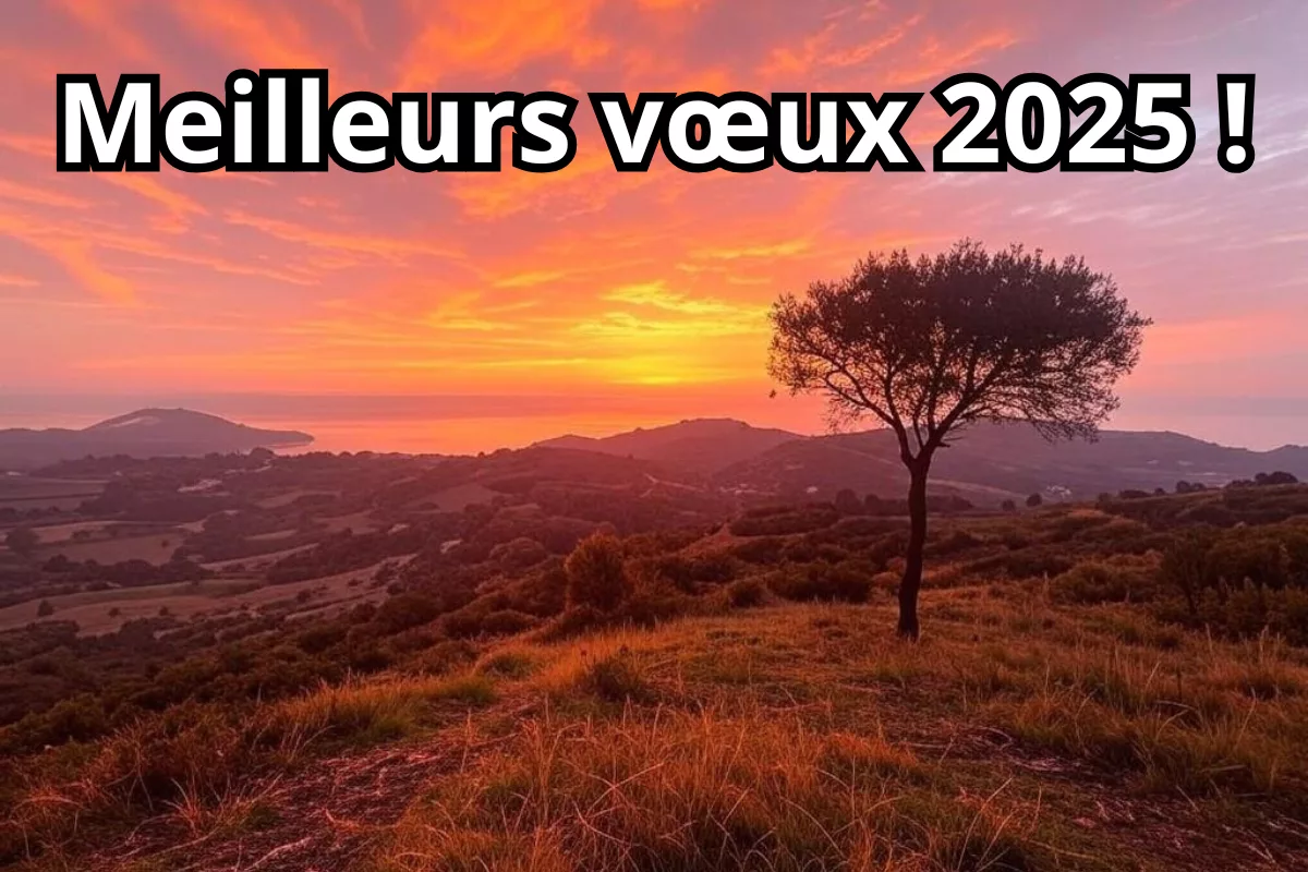 2025 : une année pour innover, réussir et construire un avenir meilleur.