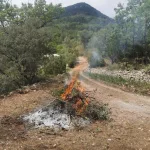Protéger votre habitation des incendies