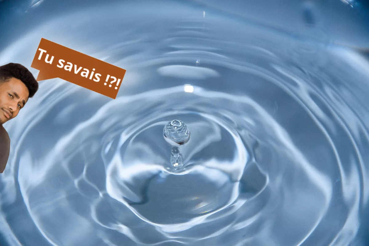 Comparaison entre eau de source et eau minérale.