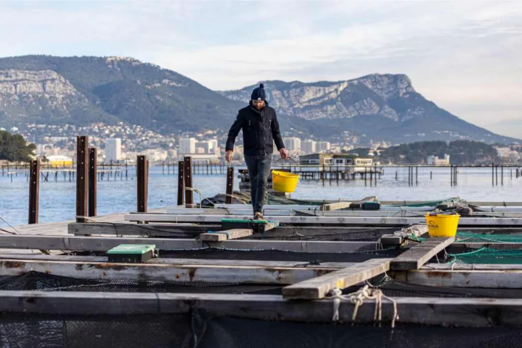 Un jeune aquaculteur passionné par la mer