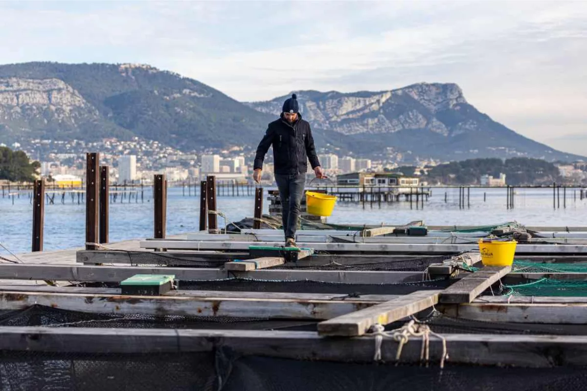 Un jeune aquaculteur passionné par la mer