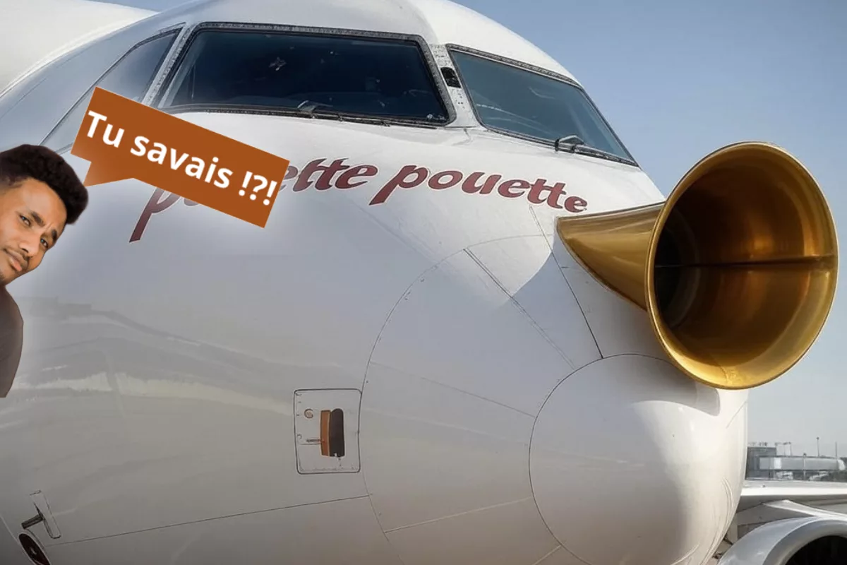 Les gros porteurs utilisent des systèmes de signalisation sonore.