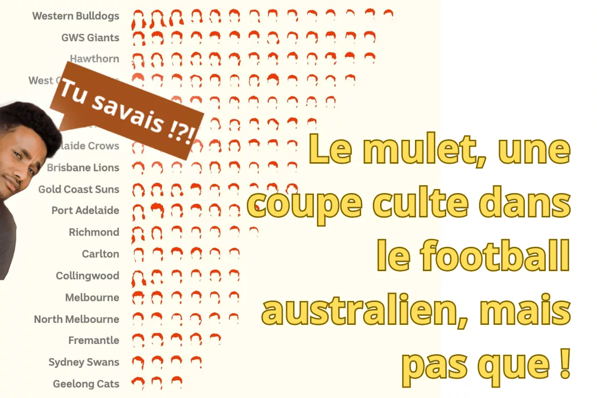 Le mulet, une coupe de cheveux qui divise mais qui reste populaire.