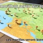 Les Meilleurs Spots pour Trouver des Morilles dans le Var