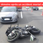 Accident mortel sur l'A57 : appel à témoins lancé par la gendarmerie.