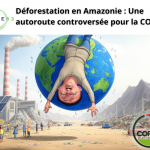COP30 : La construction d'une autoroute menace la forêt amazonienne