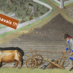 Les innovations techniques du Moyen Âge central.