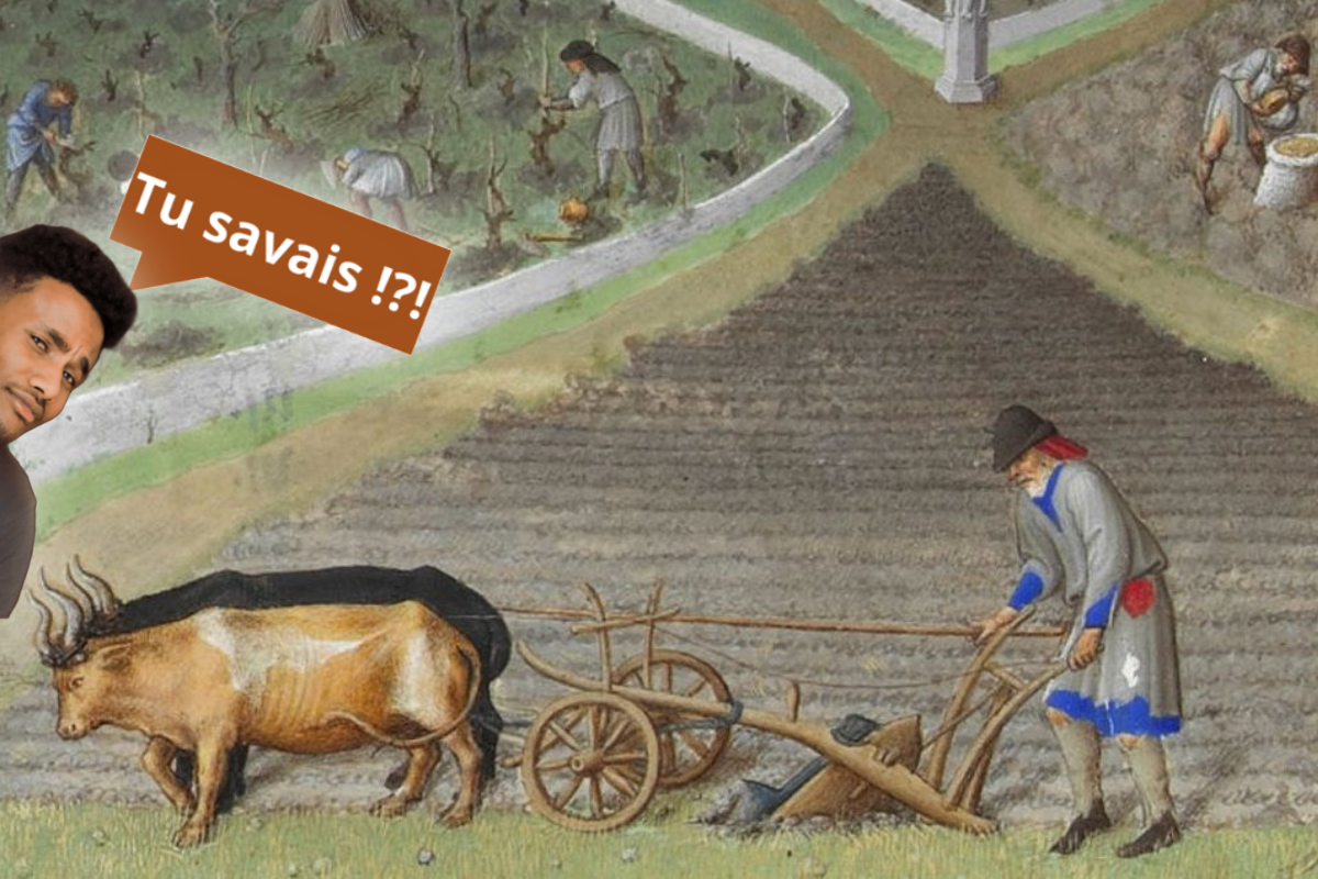 Les innovations techniques du Moyen Âge central.