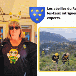 Essaims d'abeilles capturés en vidéo dans le Var.