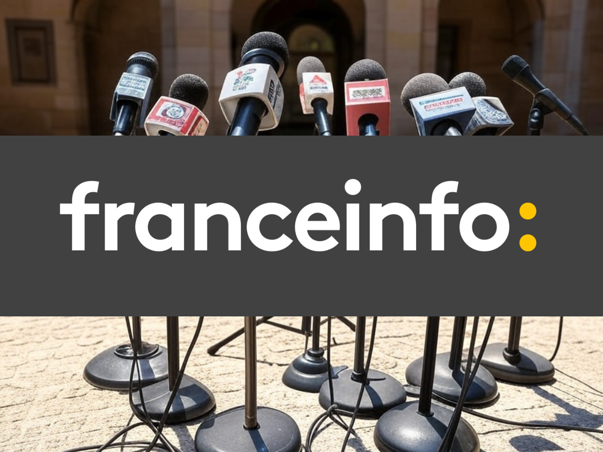 Débat sur Gaza : Franceinfo rappelée à l'ordre par l'Arcom.