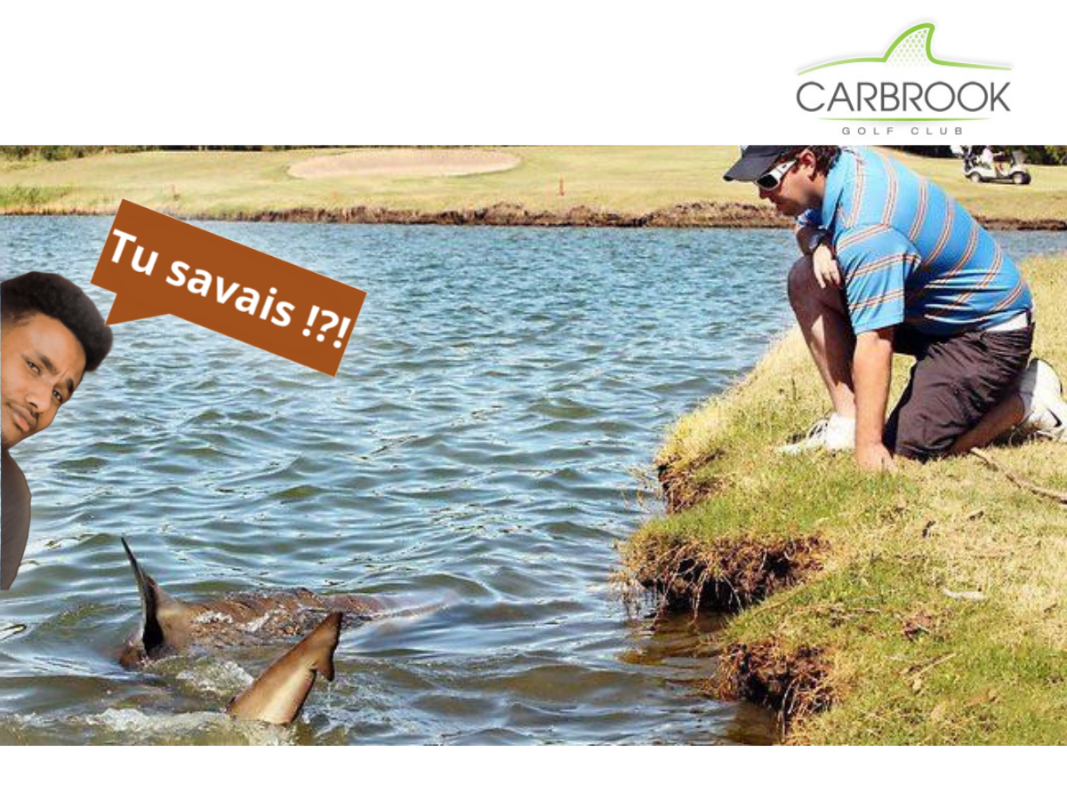 Sécurité renforcée au club de golf de Carbrook.