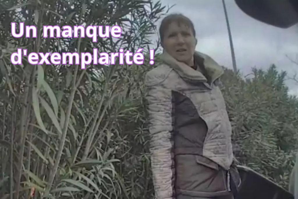 L'adjointe au maire Patricia Penchenat face aux caméras de la Tesla.