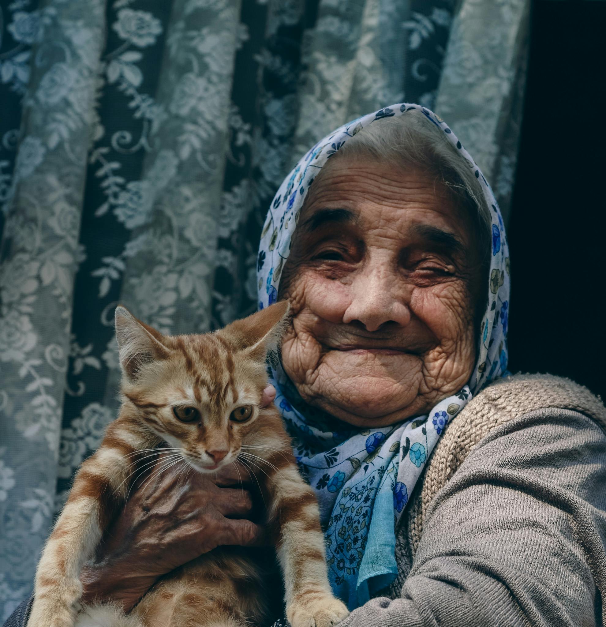 Seniors et animaux en Ehpad : un nouveau droit reconnu