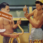 Serpents et venin : une vie hors norme