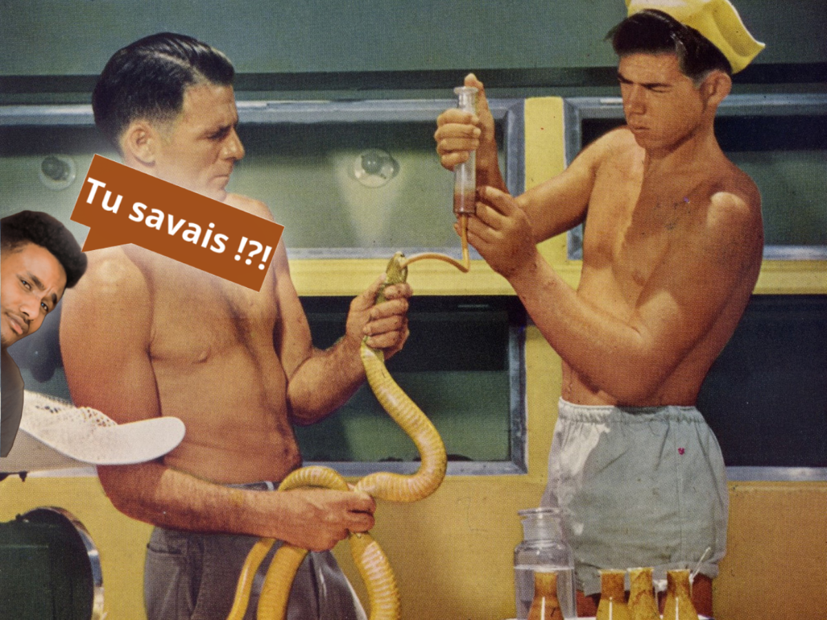 Serpents et venin : une vie hors norme