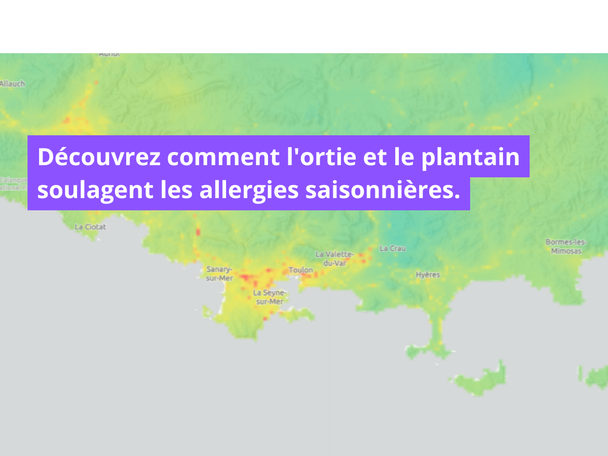 Les Bienfaits de l'Ortie contre les Allergies