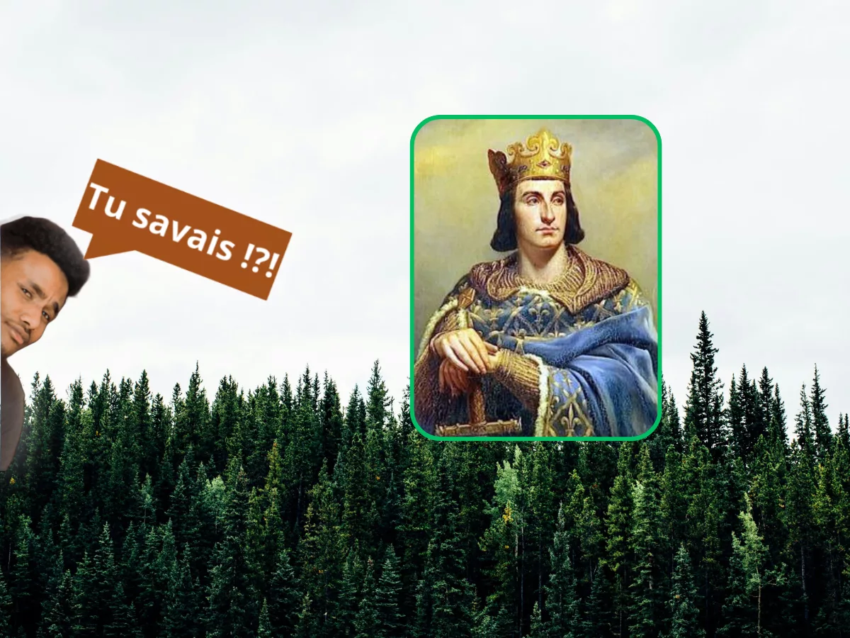 Surveillance forestière sous Philippe VI