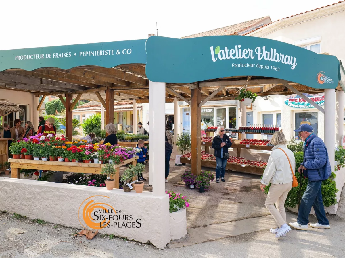 L’Atelier Valbray : une vitrine végétale au cœur du Brusc