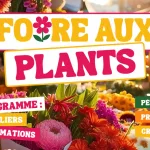 Création florale pour petits et grands