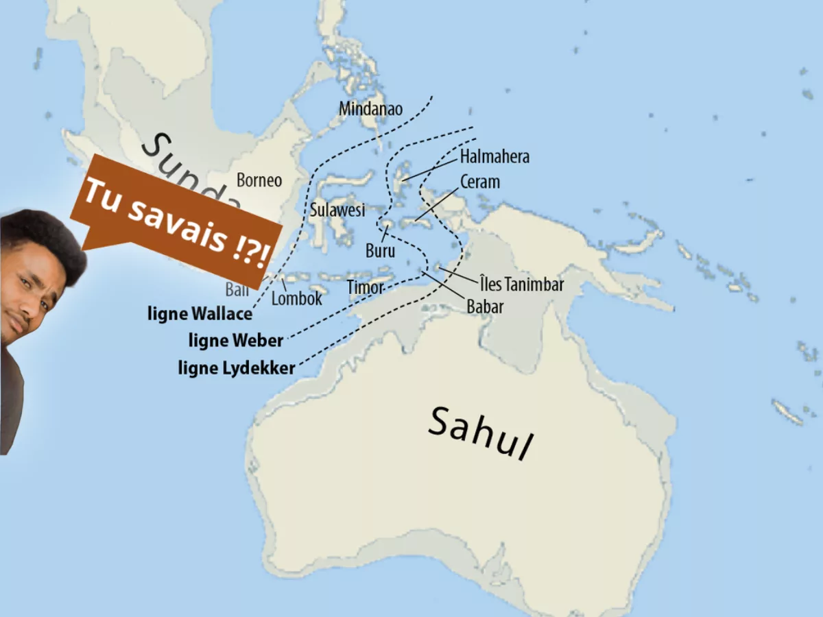 Carte historique de Wallace