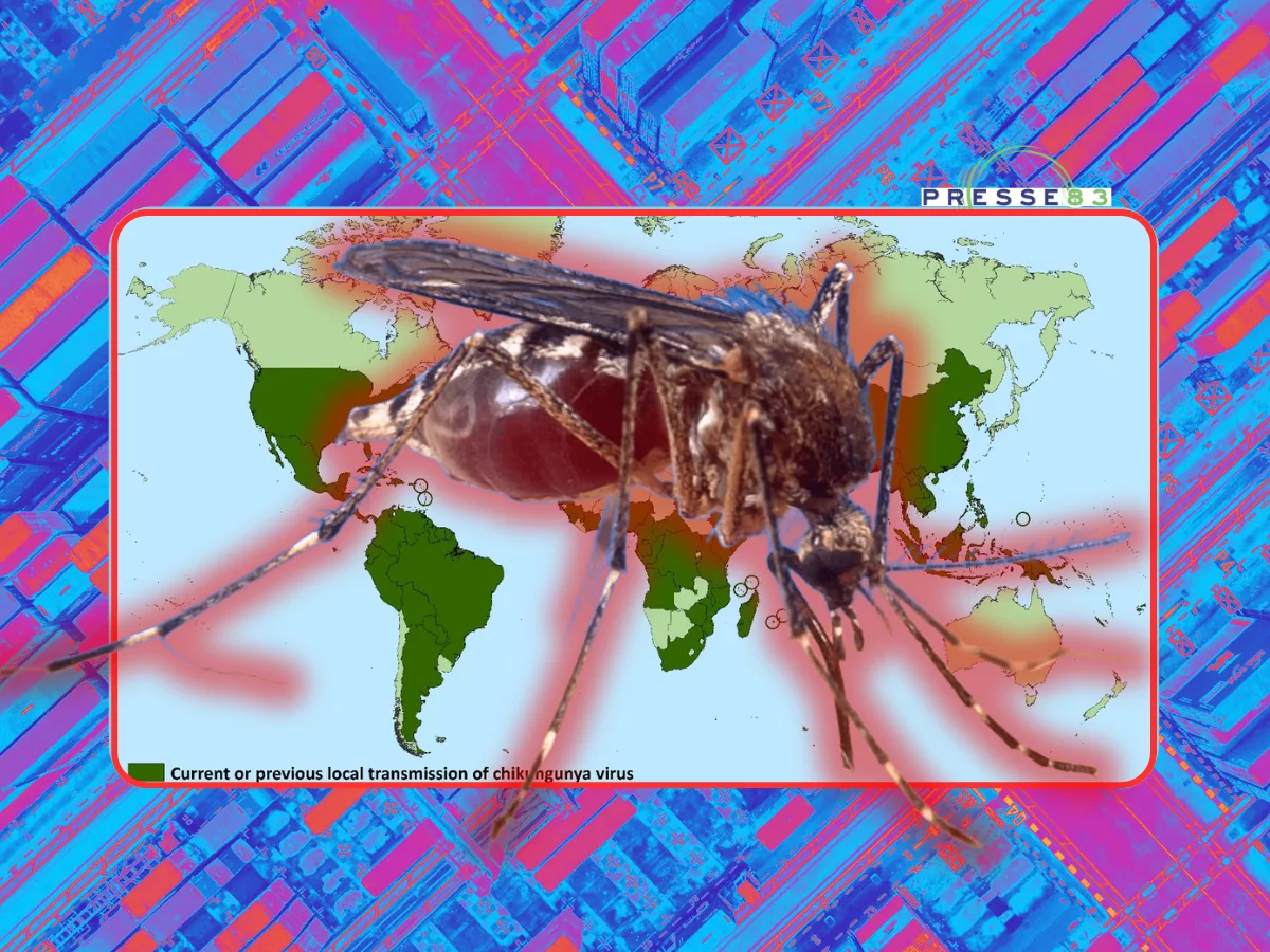 Lutte contre les moustiques vecteurs du virus
