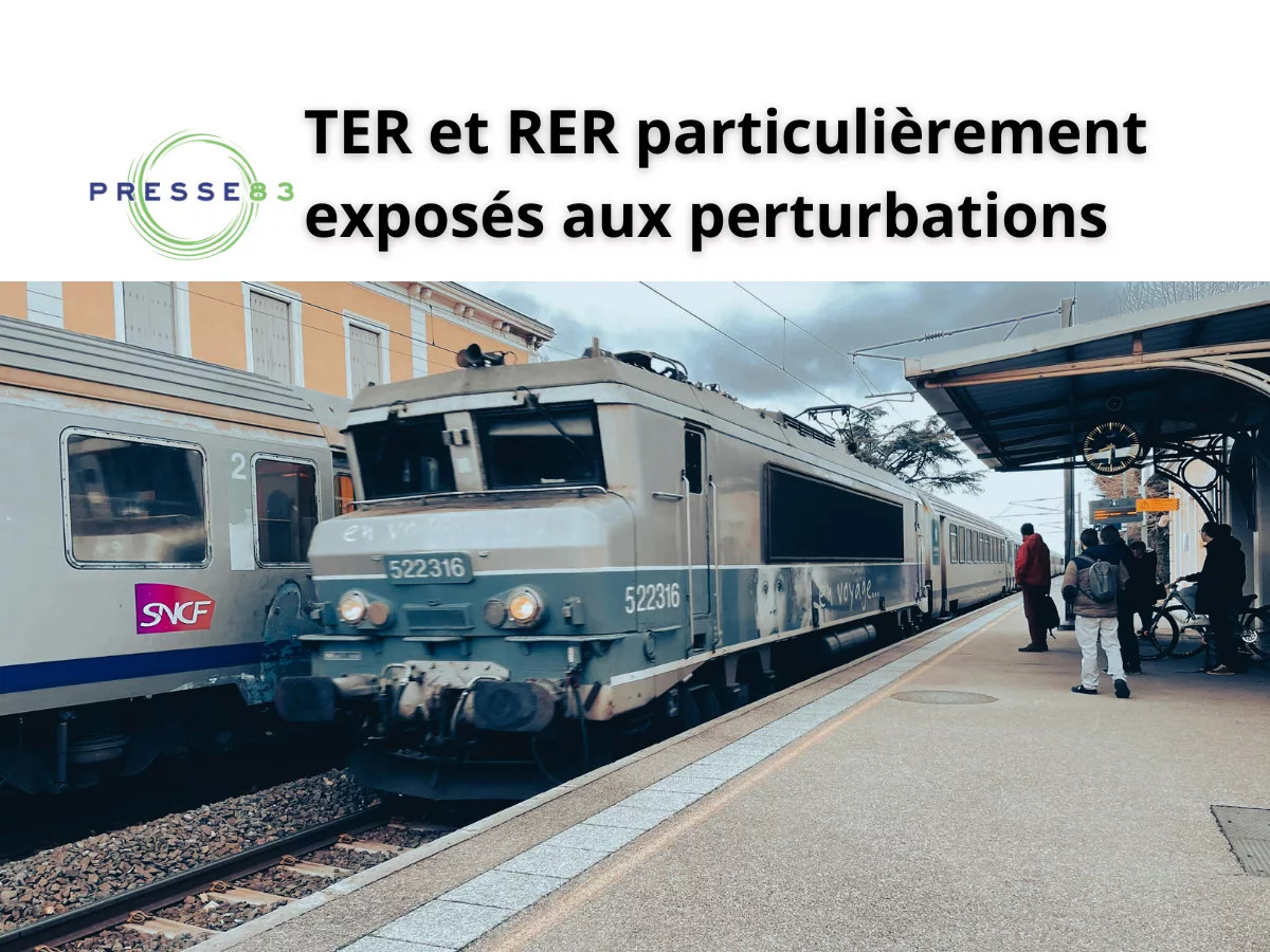 Une rame TER en gare durant un jour de grève